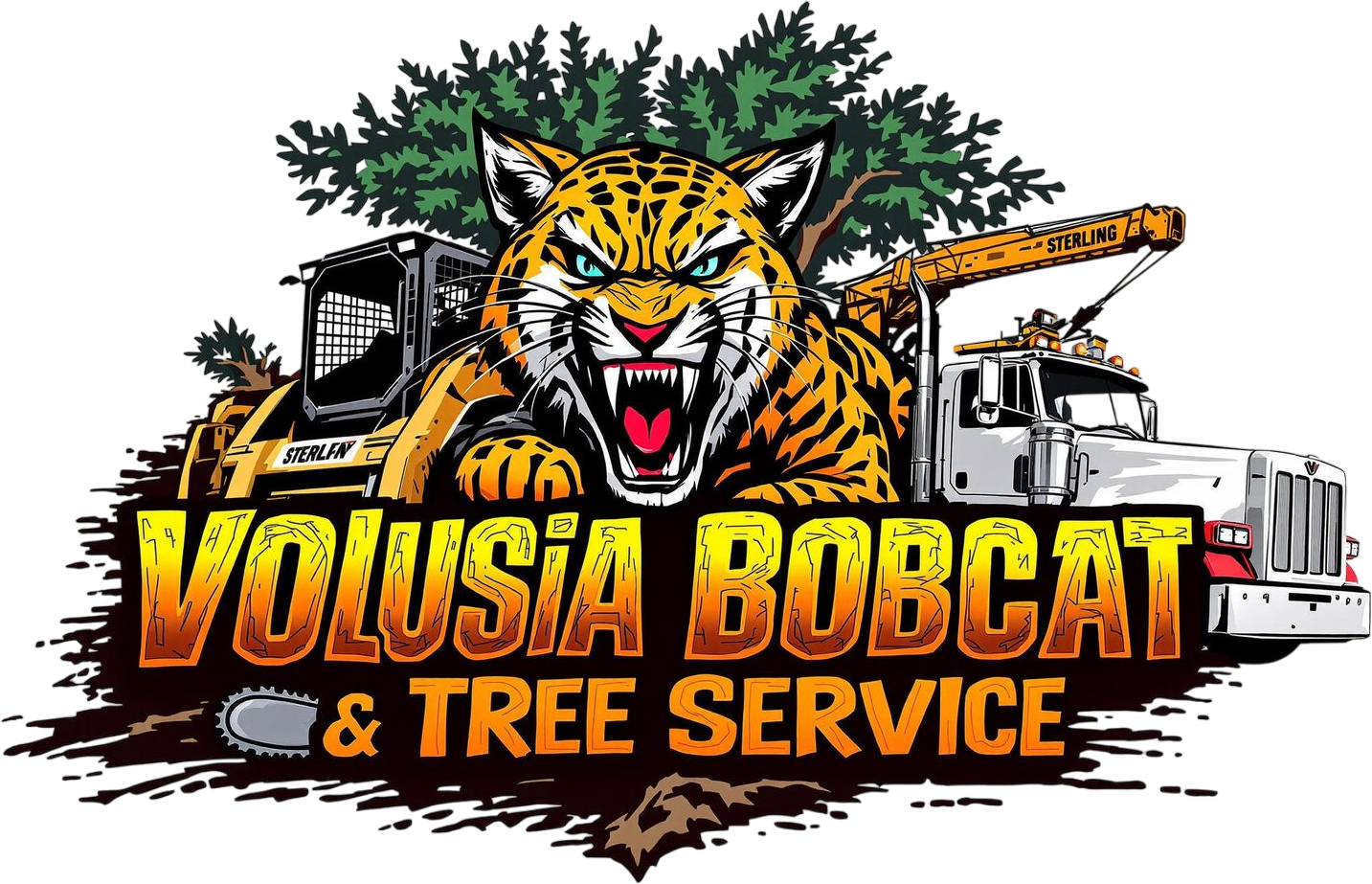 Tree Service Deland | Tree Service Near Me