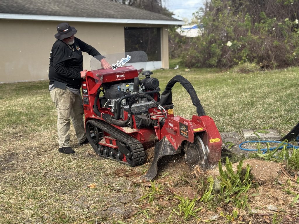 Stunp Grinding Ocala