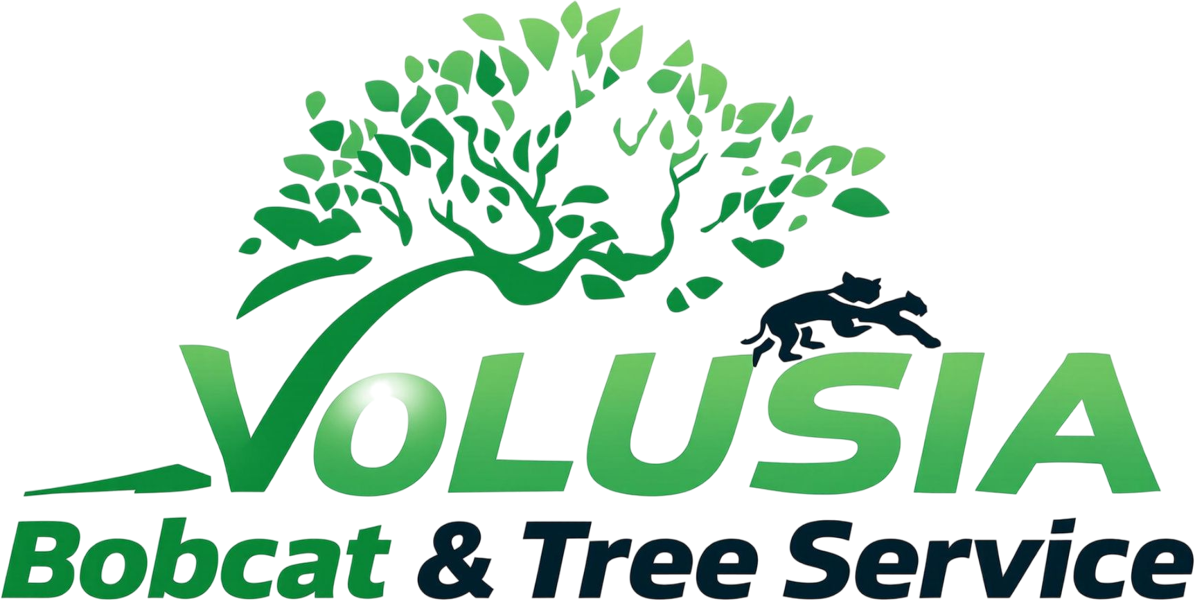 Tree Service Deland | Tree Service Near Me