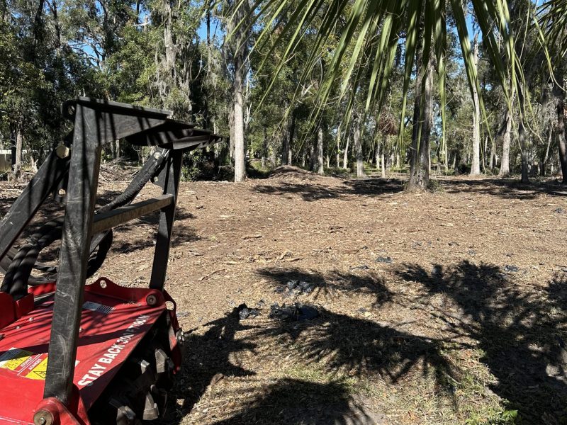 ocala brush clearing